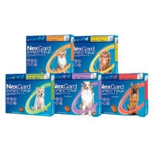 Nexgard Spectra 1 Comprimido