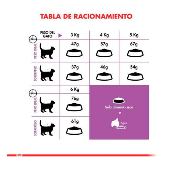 Royal Canin Castrados Sterilised Feline