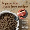 Taste Of the Wild Sierra Mountain