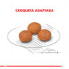Royal Canin X-Small Adult +8