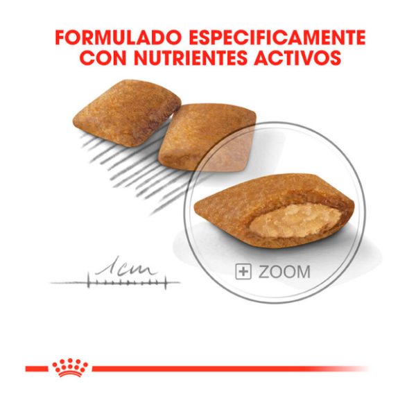 Royal Canin Mini Exigent Alimento Perro Adulto Pequeño Apetito Exigente grano