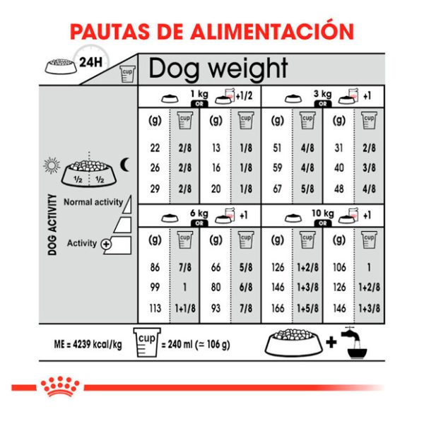 Royal Canin Mini Exigent Alimento Perro Adulto Pequeño Apetito Exigente pauta