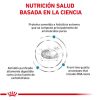 Alimento Gato Reacciones Alérgicas