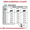 Alimento Gato Reacciones Alérgicas medidas