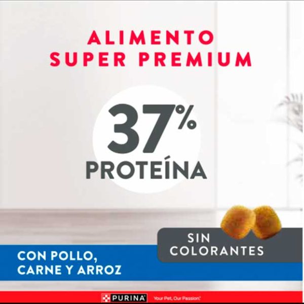 alimento gato con proteina